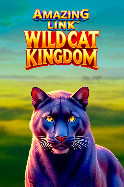 Amazing Link WildCat Kingdom